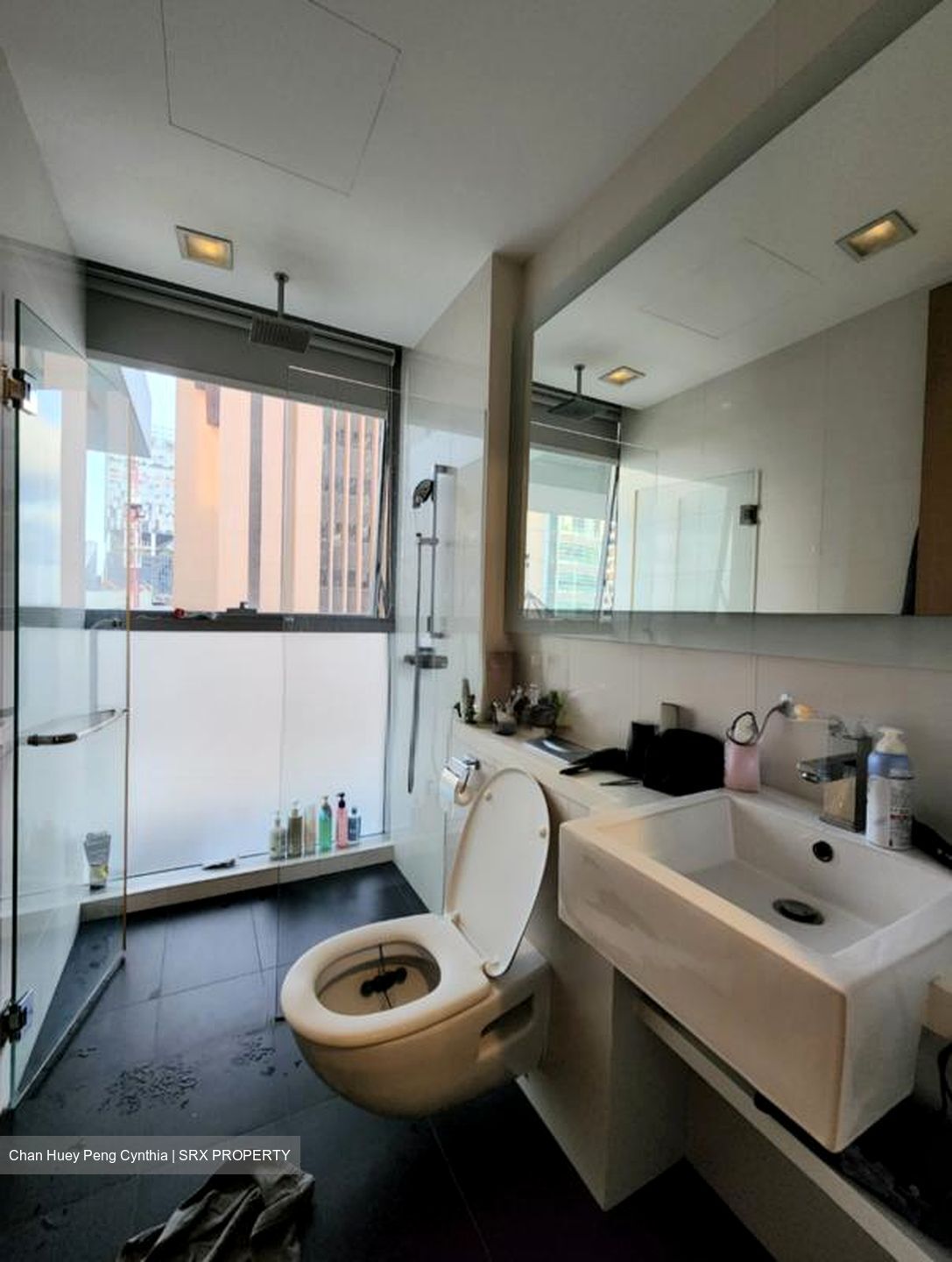 Lumiere (D2), Apartment #520659171